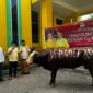Golkar Sulsel Tebar Kepedulian, 6 Ekor Sapi Kurban Termasuk dari Bahlil