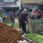 Kepedulian Nyata Andi Tenri Uji Idris, Lahan Urban Farming Warga Mangasa Kini Bebas Genangan
