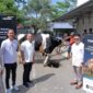 Bank Mandiri Salurkan 2.529 Hewan Kurban pada Idul Adha 1447 H