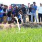 Bupati Sidrap Imbau Warga Siaga Hadapi Musim Kemarau