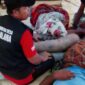 Dua Penumpang KLM Nurul Salsa Ditemukan Selamat Setelah Empat Hari Terapung