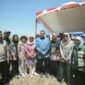 Dari Sawah hingga Greenhouse, Wali Kota Appi Susun Strategi Jaga Ketahanan Pangan Makassar