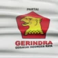 Gerindra Kirim Bantuan Rp1 Miliar untuk Warga Terdampak Gempa NTT