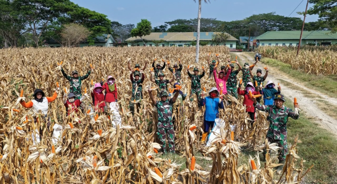 Yonarmed 21/Kawali Optimalkan 21 Hektare Lahan untuk Perkuat Ketahanan Pangan